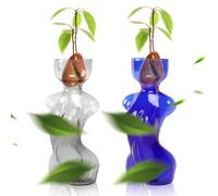 Vases de propagation pour plantes, pots de propagation de plantes, vase d'avocat unique en verre, parfait pour le démarrage des graines, l'enracinement de l'eau et la décoration de la maison