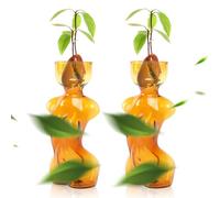 Vases de propagation pour plantes, pots de propagation de plantes, vase d'avocat unique en verre, parfait pour le démarrage des graines, l'enracinement de l'eau et la décoration de la maison