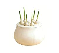 Vases hydroponiques - réutilisables antidérapants sans sol pour petits espaces, couvercles pour pot de bourgeons pour ail | pour oignon jacinthe jonquille à la maison bureau dortoir balcon patio