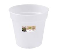 VASO ORCHIDEE GREEN BASICS ORCHID 13CM TRANSPARENT ELHO