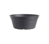 Vaso Per Bulbi Green Basics Bowl 27cm Living Black Elho Multicolore