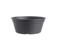 Vase Pour Bulbes Green Basics Bowl 33Cm Living Noir Elho