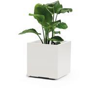 Vasque À Fleurs GREENER KEBE 40 CM Blanc
