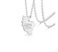 VASSAGO Collier Avec Carte De L'iran Acier Inoxydable Collier Pendentif Drapeau Persan Lion Et Soleil Bijoux Iraniens Persans (Argent 3)