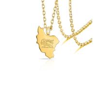 VASSAGO Collier Avec Carte De L'iran Acier Inoxydable Collier Pendentif Drapeau Persan Lion Et Soleil Bijoux Iraniens Persans (Or 3)