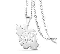 VASSAGO Collier Avec Pendentif Carte De L'iran Avec Colombe De La Paix/Embrasse/Drapeau En Acier Inoxydable Cz Patriotique Iranien, Bijou Persan Cadeau Pour Femmes Et Hommes