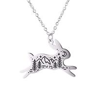 VASSAGO Collier avec pendentif en forme de lapin en acier inoxydable gravé Lune Montagne Étoile Animal Lapin Mignon Bijoux pour femmes filles