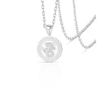 VASSAGO Collier en forme de Serpent pour Femmes et Hommes Acier Inoxydable Colliers Serpent Animal Gothique Serpent Amulette Bijoux Animal Lovers Cadeau (Argent)