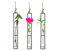Vastsea 3 Pièces Vase en Verre Fer Forgé, Tube à essai de Bouteille Suspendue pour Les Fleurs, Vase en Verre en Fer Forgé, Postuler à Verre Plantes pour Décoration Maison(27,2 x 4cm)