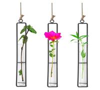 Vastsea 3 Pièces Vase en Verre Fer Forgé, Tube à essai de Bouteille Suspendue pour Les Fleurs, Vase en Verre en Fer Forgé, Suspension Plante, Postuler à Verre Plantes pour Décoration (22.5 x 4 cm)