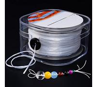 Vastsea Elastique pour Bracelet, Bobines de Bande Élastique en Nylon Transparent, 100M de Fil Invisible en Nylon Transparent, avec Boîte Transparente, pour Loisirs Créatifs