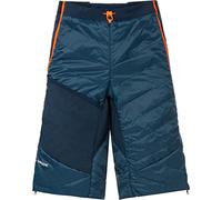 VAUDE Sesvenna III Short Homme, bleu