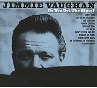 Vaughan, Jimmie - Do You Get The. -Digi [Import]