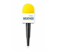 Vaulted Skulls & Co Accessoire de microphone de reporter | Accessoires de microphone en mousse | Accessoire de costume de journaliste | Microphones non fonctionnels (jaune, météo)