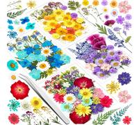 Vautvis 159 Fleurs Séchées, Fleurs Sechees Naturelles avec 1 Pince, Vraies Fleurs Pressées Séchées Decoration pour Scrapbooking Bougie Bricolage Résine Époxy Floral Fabrication Artisanale
