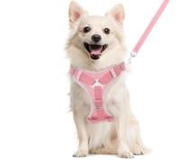 VavoPaw Ensemble Harnais et Laisse pour Chat Anti-évasion, Gilet de Sécurité Souple pour Chaton avec Bande Réfléchissante, Filet Respirant, Harnais Ajustable pour Chaton, Chat, Chiot, L, Rose