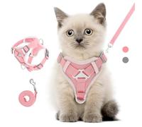 VavoPaw Ensemble Harnais et Laisse pour Chat Anti-évasion, Gilet de Sécurité Souple pour Chaton avec Bande Réfléchissante, Filet Respirant, Harnais Ajustable pour Chaton, Chat, Chiot, S, Rose