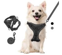 VavoPaw Ensemble Harnais et Laisse pour Chat Anti-évasion, Gilet de Sécurité Souple pour Chaton avec Bande Réfléchissante, Filet Respirant, Harnais Ajustable pour Chaton, Chat, Chiot, L, Noir