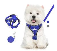 VavoPaw Ensemble Harnais et Laisse pour Chat Anti-évasion, Harnais Ajustable pour Chaton avec Bande Réfléchissante, Filet Respirant, Gilet de Sécurité Souple pour Chat, Chaton, Chiot, L, Bleu Roi