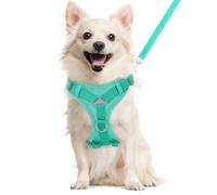 VavoPaw Ensemble Harnais et Laisse pour Chat Anti-évasion, Harnais Ajustable pour Chaton avec Bande Réfléchissante, Filet Respirant, Gilet de Sécurité Souple pour Chat, Chaton, Chiot, L, Bleu