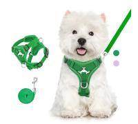 VavoPaw Ensemble Harnais et Laisse pour Chat Anti-évasion, Harnais Ajustable pour Chaton avec Bande Réfléchissante, Filet Respirant, Gilet de Sécurité Souple pour Chat, Chaton, Chiot, L, Vert Moyen