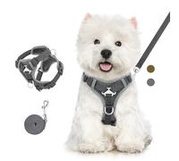 VavoPaw Ensemble Harnais et Laisse pour Chat Anti-évasion, Harnais Ajustable pour Chaton avec Bande Réfléchissante, Filet Respirant, Gilet de Sécurité Souple pour Chat, Chaton, Chiot, L, Gris Foncé