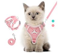 VavoPaw Ensemble Harnais et Laisse pour Chat Anti-évasion, Harnais Ajustable pour Chaton avec Bande Réfléchissante, Filet Respirant, Gilet de Sécurité Souple pour Chat, Chaton, Chiot, XS, Rose