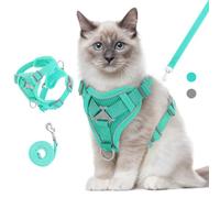 VavoPaw Ensemble Harnais et Laisse pour Chat Anti-évasion, Harnais Ajustable pour Chaton avec Bande Réfléchissante, Filet Respirant, Gilet de Sécurité Souple pour Chat, Chaton, Chiot, M, Bleu