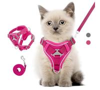 VavoPaw Ensemble Harnais et Laisse pour Chat Anti-évasion, Harnais Ajustable pour Chaton avec Bande Réfléchissante, Filet Respirant, Gilet de Sécurité Souple pour Chat, Chaton, Chiot, S, Magenta