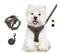 VavoPaw Ensemble Harnais et Laisse pour Chat Anti-évasion, Harnais Ajustable pour Chaton avec Filet Respirant, Bande Réfléchissante, Gilet de Sécurité Souple pour Chat, Chaton, Chiot, XL, Café