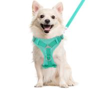 VavoPaw Ensemble Harnais et Laisse pour Chat Anti-évasion, Harnais Ajustable pour Chaton avec Filet Respirant, Bande Réfléchissante, Gilet de Sécurité Souple pour Chat, Chaton, Chiot, L, Bleu