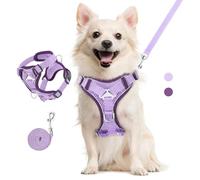 VavoPaw Ensemble Harnais et Laisse pour Chat Anti-évasion, Harnais Ajustable pour Chaton avec Filet Respirant, Bande Réfléchissante, Gilet de Sécurité Souple pour Chat, Chaton, Chiot, L, Violet Clair