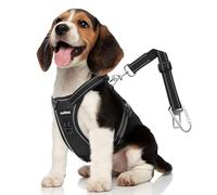 VavoPaw Harnais de Ceinture de Sécurité pour Chien, Harnais de Voiture pour Chien Ajustable en Maille & Ceinture de Sécurité & Élastique pour Petit Moyen Grand Animaux de Compagnie, M, Noir