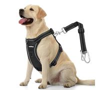 VavoPaw Harnais de Ceinture de Sécurité pour Chien, Harnais de Voiture pour Chien, Ajustable en Maille & Ceinture de Sécurité avec Élastique pour Les Animaux de Petite, Moyenne et Grande, XL, Noir