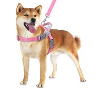 VavoPaw Harnais et Laisse pour Chien, Harnais sans Traction pour Une Promenad Facile, Harnais Gilet Ajustable pour Chien avec Band Magique Réflectif, Harnais Anti-Fugue pour Petit Chiens, S Rose