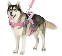 VavoPaw Harnais pour chien, gilet ajustable avec band magique réflectif, anti-fugue pour gros chien, chiots, L Rose