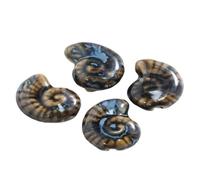 VAYEODEYU 10 pièces de Perles en Forme de conque en céramique, Trou Multicolore for Bricolage décoratif(Brown)