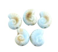 VAYEODEYU 10 pièces de Perles en Forme de conque en céramique, Trou Multicolore for Bricolage décoratif(Light Green)