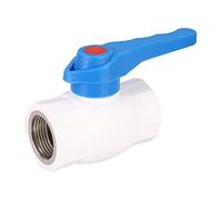 VAYEODEYU Connecteur de Tuyau d'arrosage， Connecteur de vanne à Boisseau sphérique à Filetage Interne en Plastique PPR G3/4 po, Accessoires de Conduite d'eau, connecteur de vanne Robuste