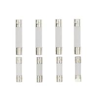 VAYEODEYU Fusibles céramiques, Assortiment de fusibles céramiques automobiles 5 x 20 mm et 6 x 30 mm à fusion rapide 250 V, 0,1 A à 30 A(6.3A)