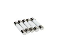 VAYEODEYU Fusibles céramiques, Assortiment de tubes fusibles en céramique 250 V à fusion rapide 6 x 30 mm, lot de 10 (0,5 A à 30 A)(4A)
