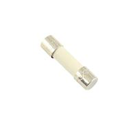 VAYEODEYU Fusibles céramiques, Fusibles à cartouche céramique 215, paquet de 5, 5 x 20 mm, 250 V, à action retardée, TH 1,6 A-12 A(10A)