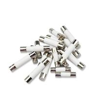 VAYEODEYU Fusibles céramiques, Fusibles à tube céramique à fusion rapide 5 x 20 mm et 6 x 30 mm, 0,1 A à 30 A, 250 V, paquet de 10(12a,6X30MM-Z516B)