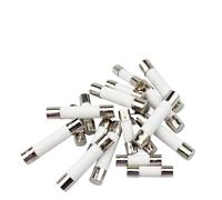 VAYEODEYU Fusibles céramiques, Fusibles céramiques à fusion rapide, lot de 10, 5 x 20 mm, 6 x 30 mm, 250 V, 0,1 A à 30 A(0.75A)