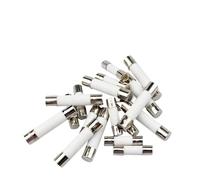 VAYEODEYU Fusibles céramiques, Lot de 10 fusibles à tube rapide en céramique 5 x 20 mm et 6 x 30 mm 250 V 0,1-30 A(5x20mm,25A)