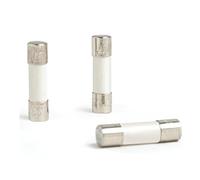 VAYEODEYU Fusibles céramiques, Lot de 10 fusibles céramiques à fusion rapide 250 V, ampérages multiples, tailles multiples(15A,5x20MM)