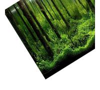 VBESTLIFE Affiche de Décoration D'aquarium de Couleur Vive, Toile de Fond Adhésive en PVC pour Réservoir sous-Marin, Papier Décoratif Facile à Nettoyer pour Les Amateurs D'aquarium (61 * 30CM)