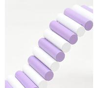 VBESTLIFE Pont D'échelle en Bois, Jouet d'escalade Durable et coloré pour Hamster, Installation Facile pour Hamsters, Petits Animaux, Fournitures pour Animaux de Compagnie (6x50cm)