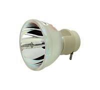 VBHGUYC P-VIP 240/0.8 E20.9n adapté for BENQ W1070 + W1080 W1080ST HT1085ST HT1075 W1300 (sans mercure, alimenté par Led)