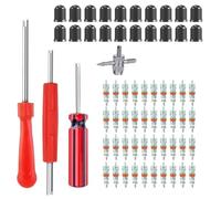 VBKITW Kit de Dépose de Valve de Pneu de 64 Pcs avec 20 Obus de Valve, Extracteurs de Noyau de Valve à Double et à Une Tête, 4 Outils de Valve et 40 Capuchons de Valve de Pneu